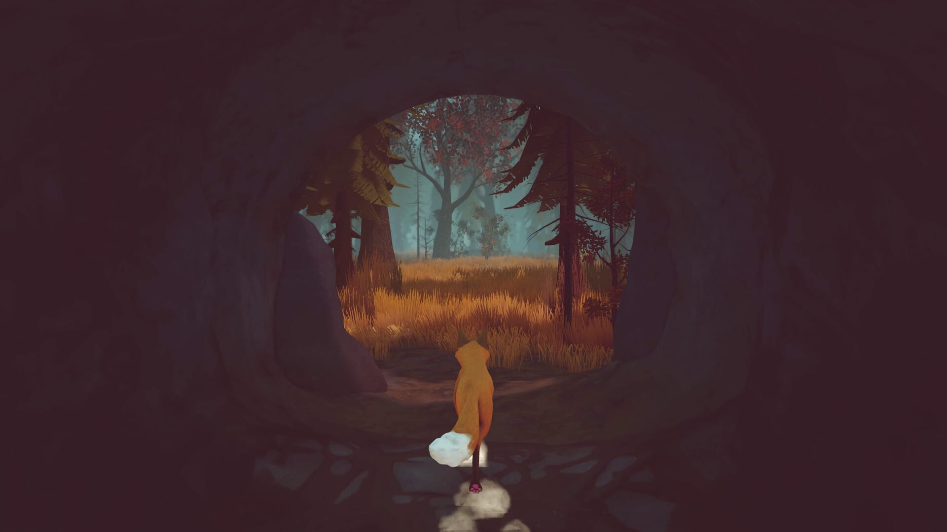 Paws and Leaves