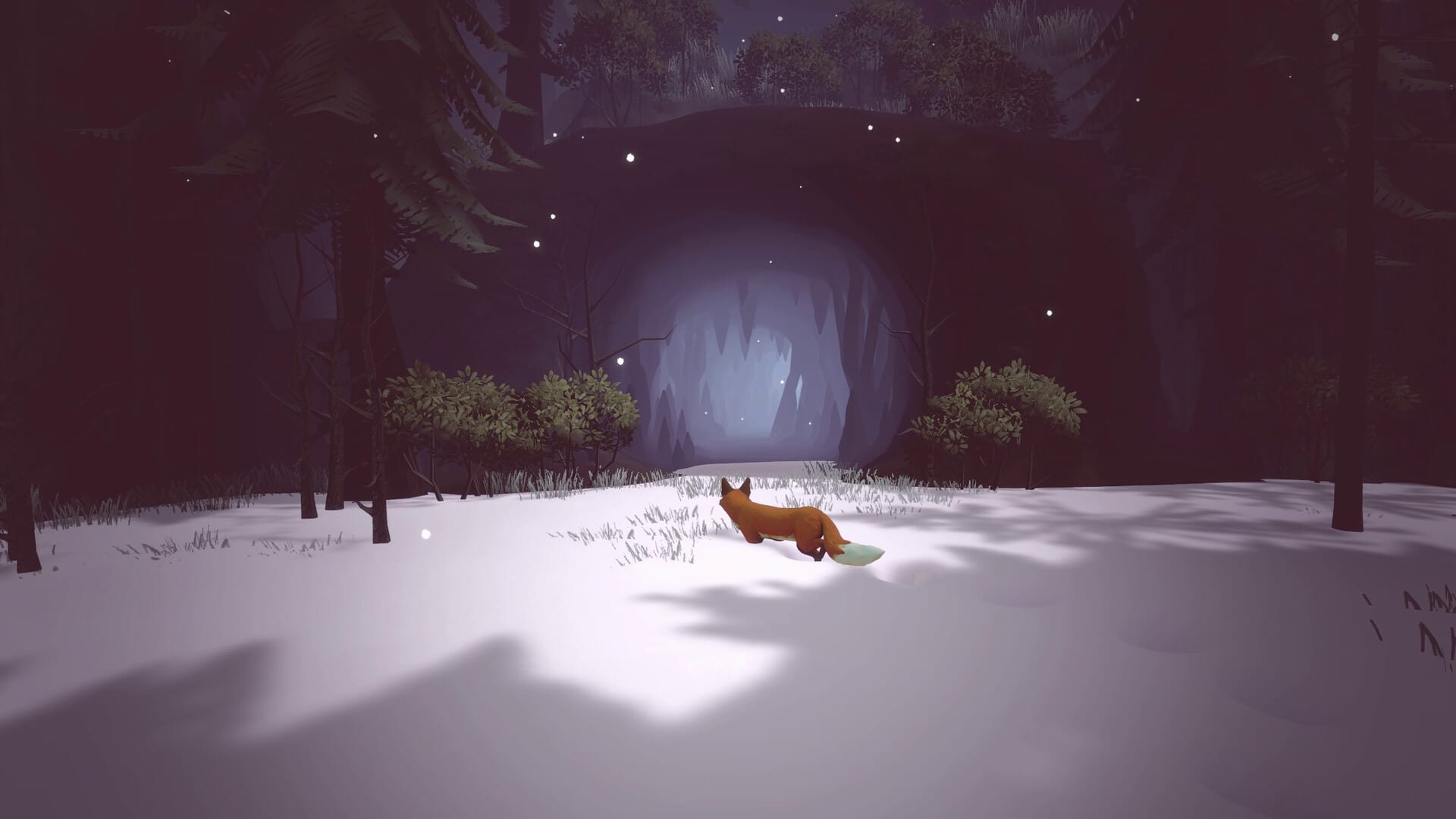 Paws and Leaves